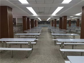 廣東鴻美佳家具廠專業定制不銹鋼餐桌椅 品質、定制與價格解析